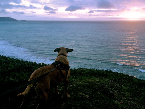 Lula reading the smell stories on the wind, December 2014