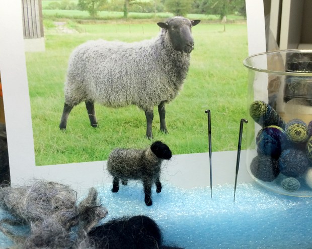 gotland_sheep_120915