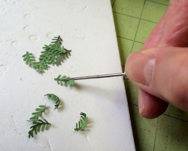 shaping_ferns_032016