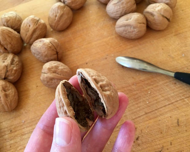 walnuts_split_111716