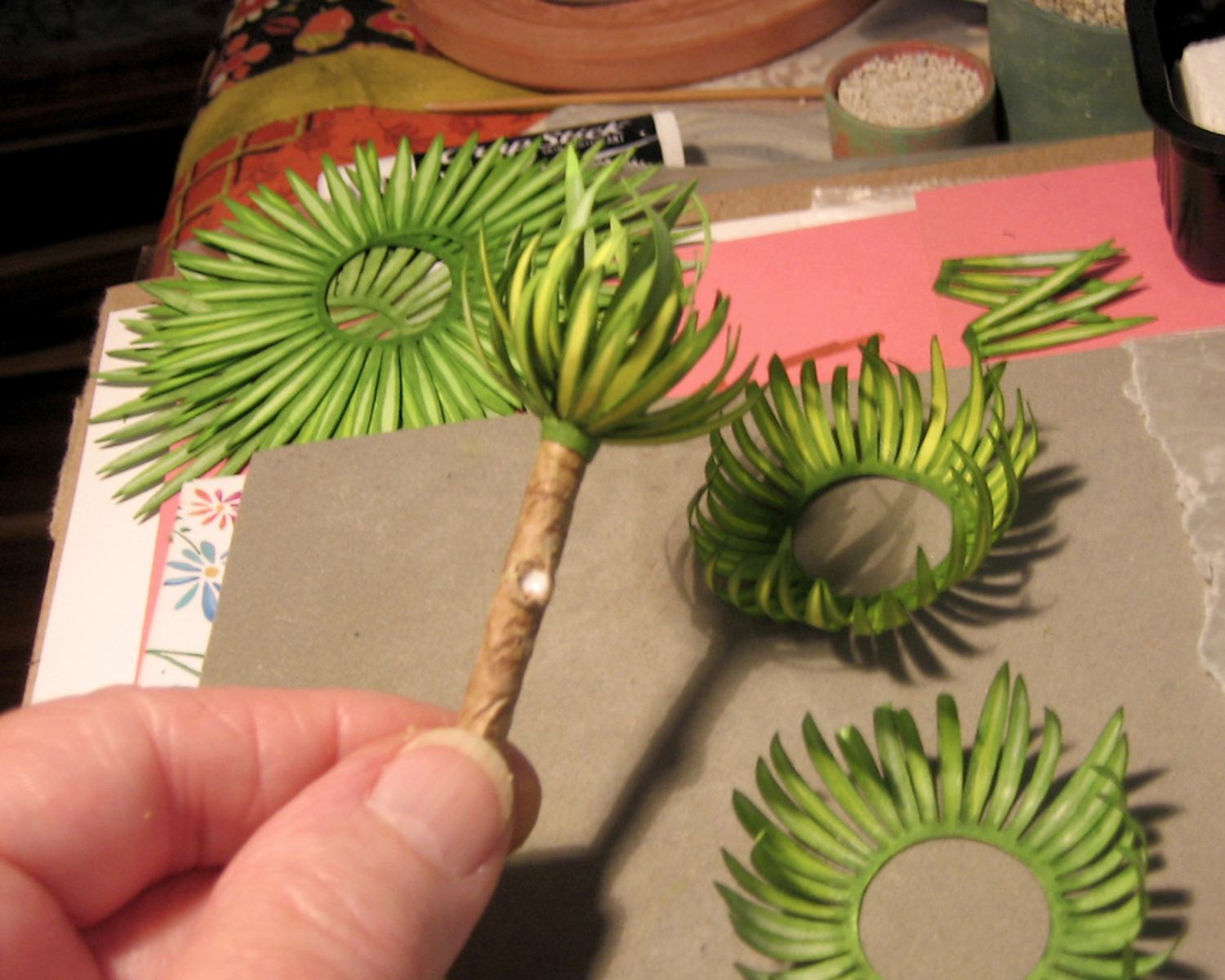 yucca_3_nancy_bristow