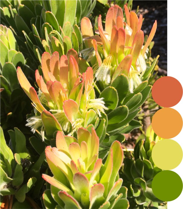 peach_green_palette