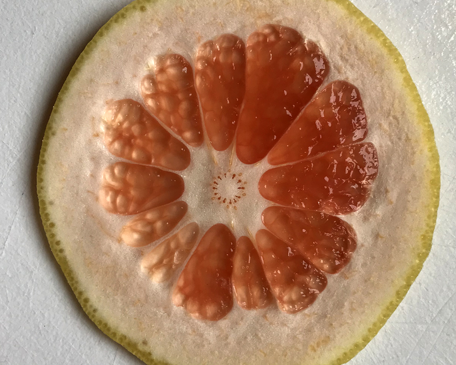 grapefruit_slice_032418