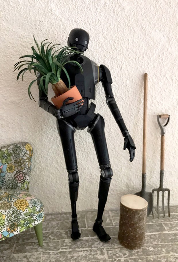 K-2SO_plant